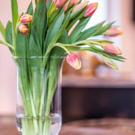 Jules Hus * Kalkhorst