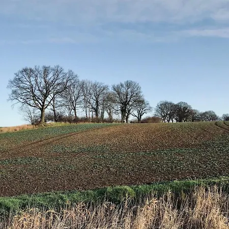 Jules Hus * Kalkhorst